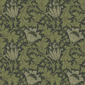 Anemone Dark Green Floral Trail Wallpaper