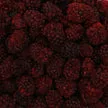 Harmony House Freeze Dried Blackberries (4 oz.)