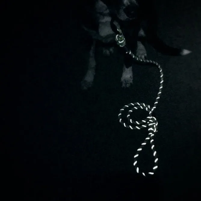 Islander Reflective Leash