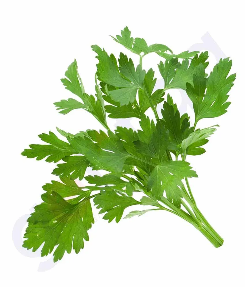 Leaf - Coriander Leaves -Cilantro 1 Bunch Approx 100gm