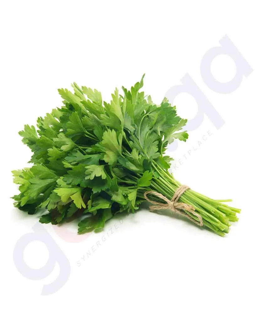 Leaf - Coriander Leaves -Cilantro 1 Bunch Approx 100gm