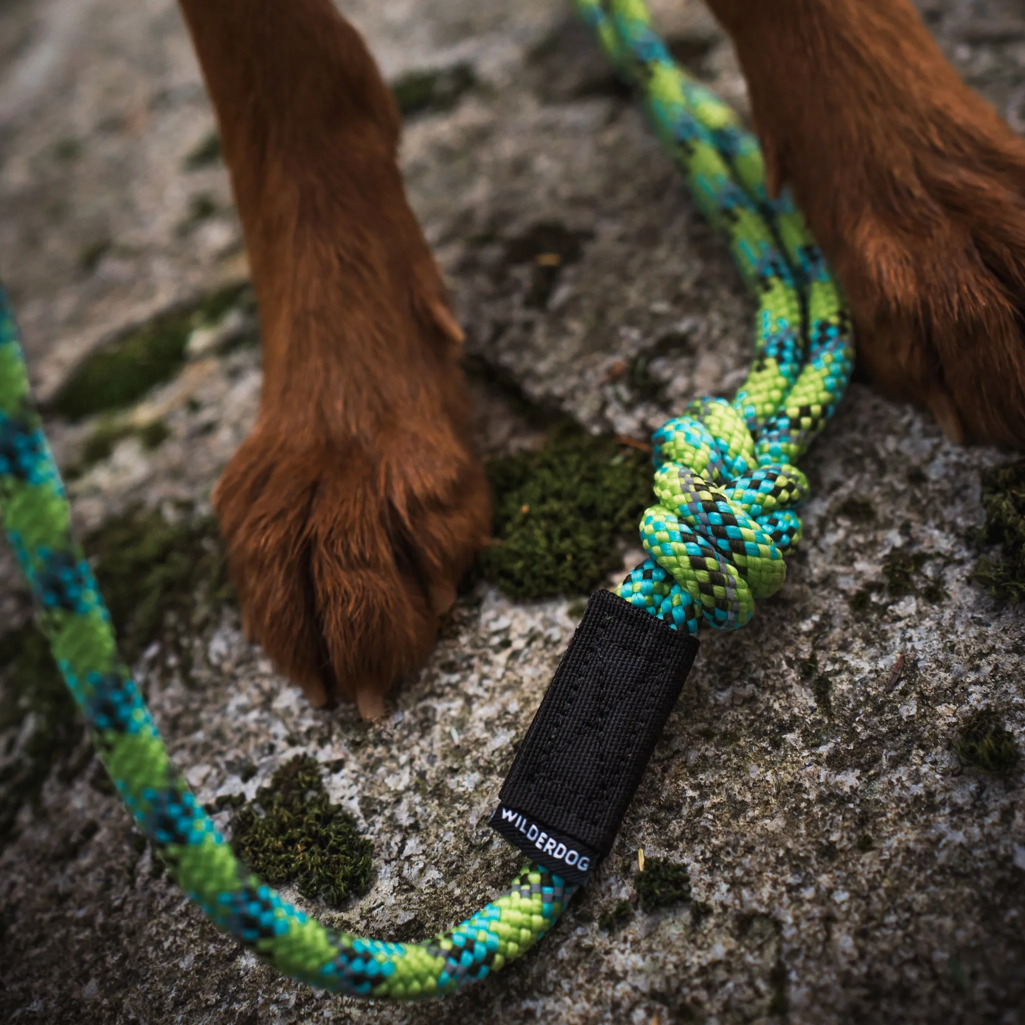 Lime Reflective Leash