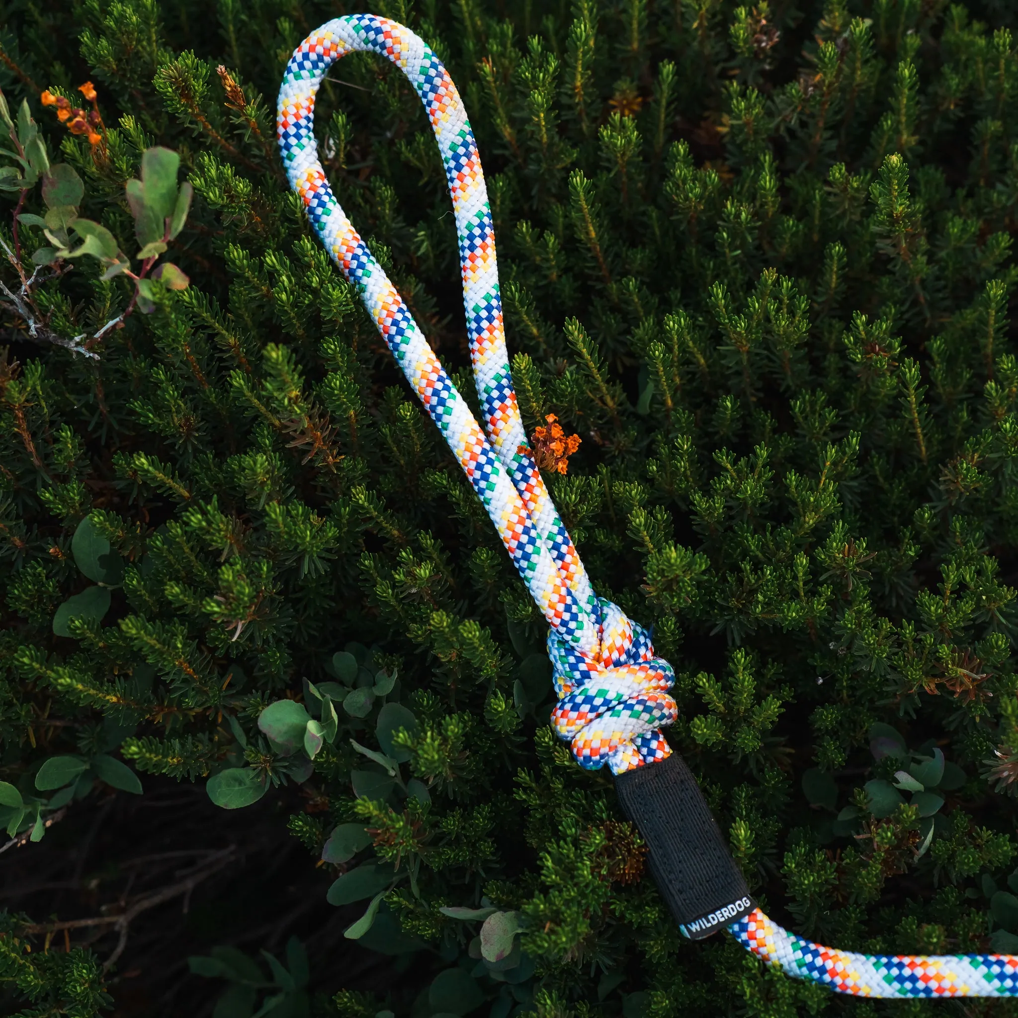 Rainbow Leash