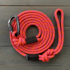 Sierra Leash