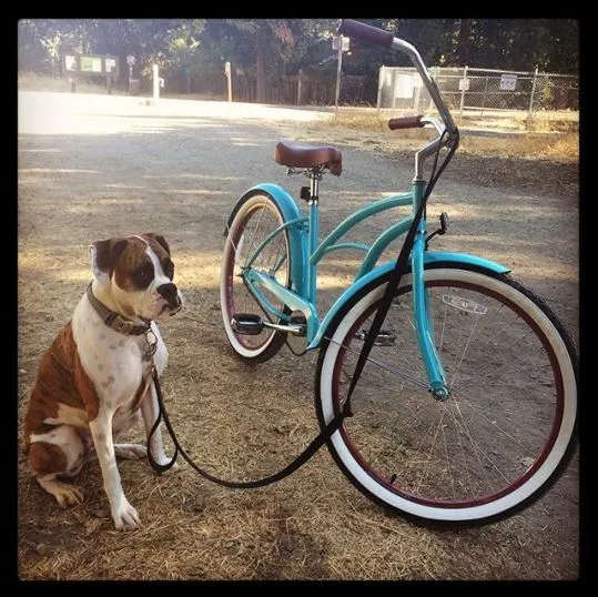 sixthreezero Paisley Single Speed 26" Women's Beach Cruiser Bike