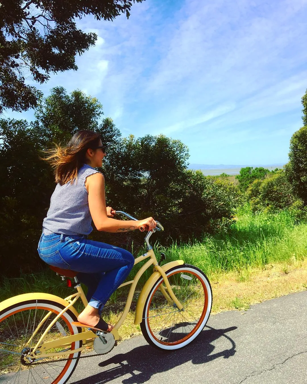 sixthreezero Paisley Single Speed 26" Women's Beach Cruiser Bike