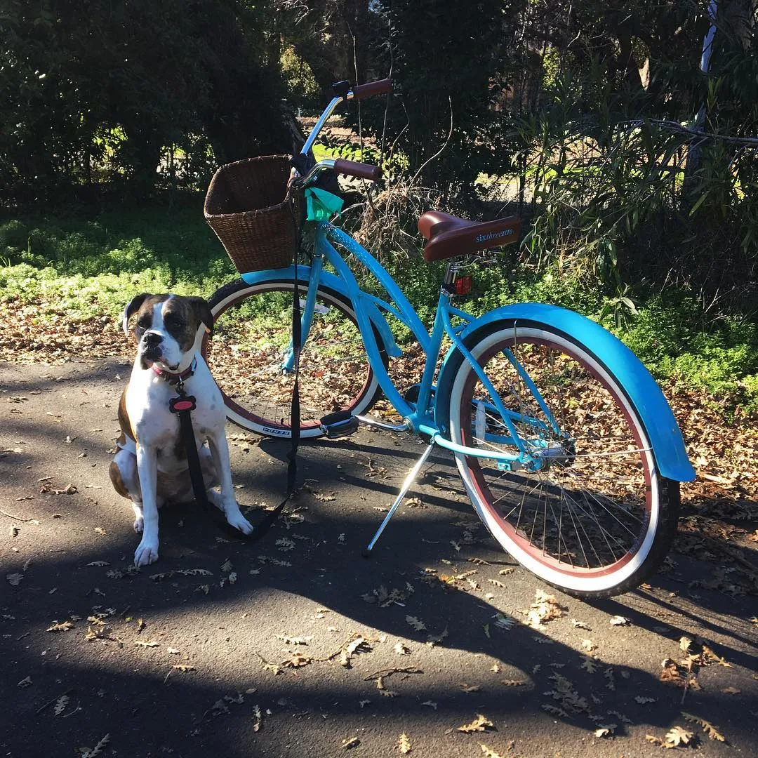 sixthreezero Paisley Single Speed 26" Women's Beach Cruiser Bike