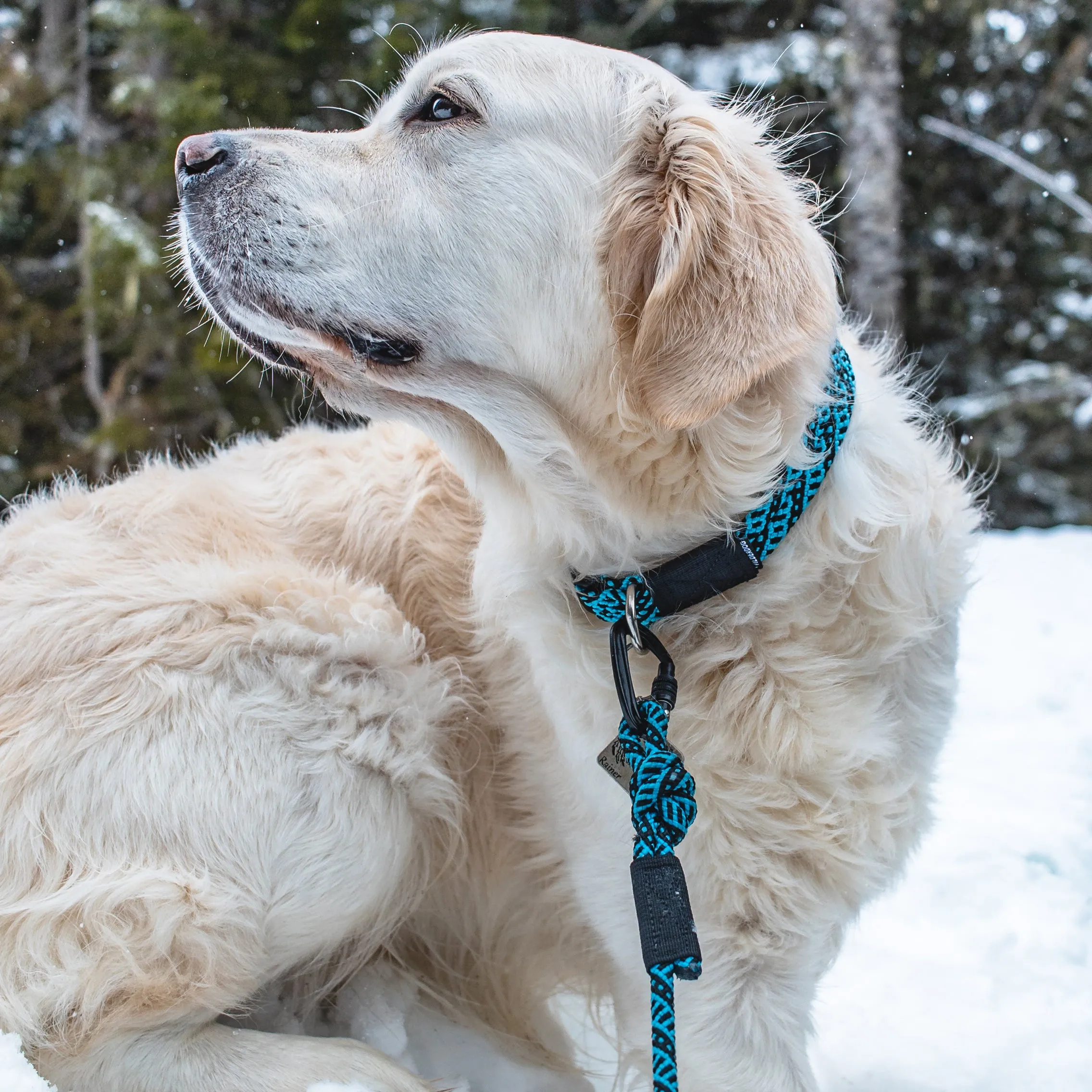 Teton Small Carabiner Leash