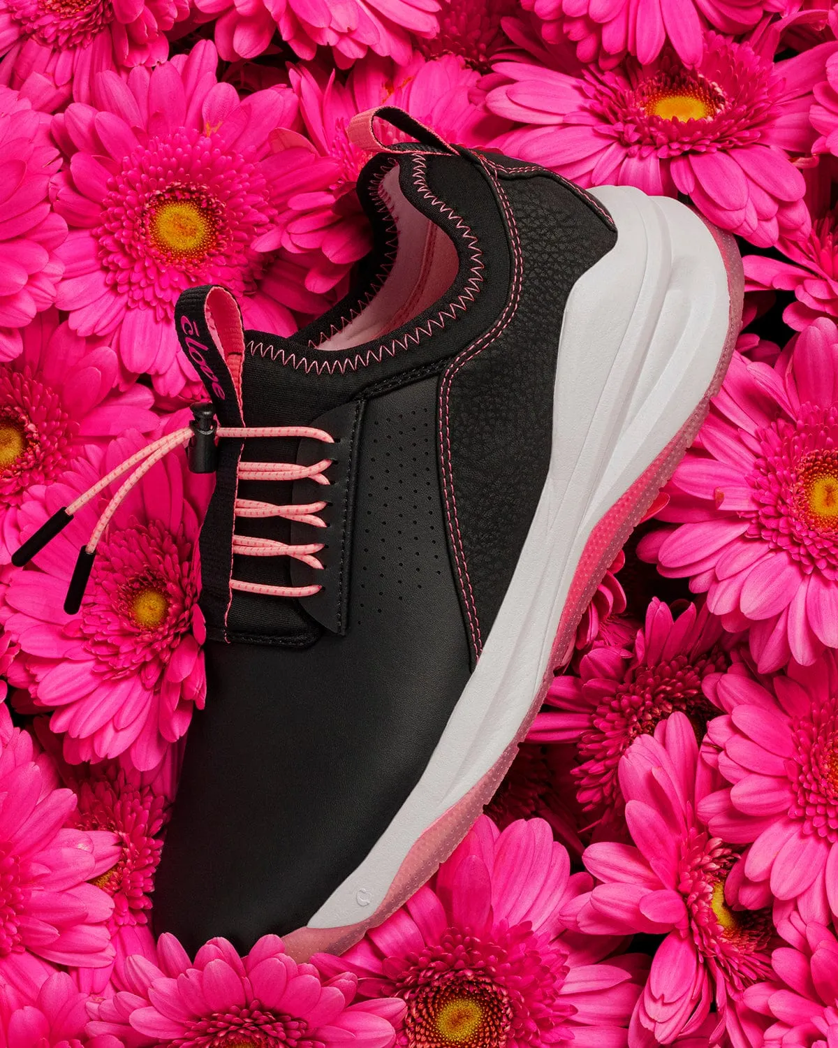 Women's Classic - Black Pink